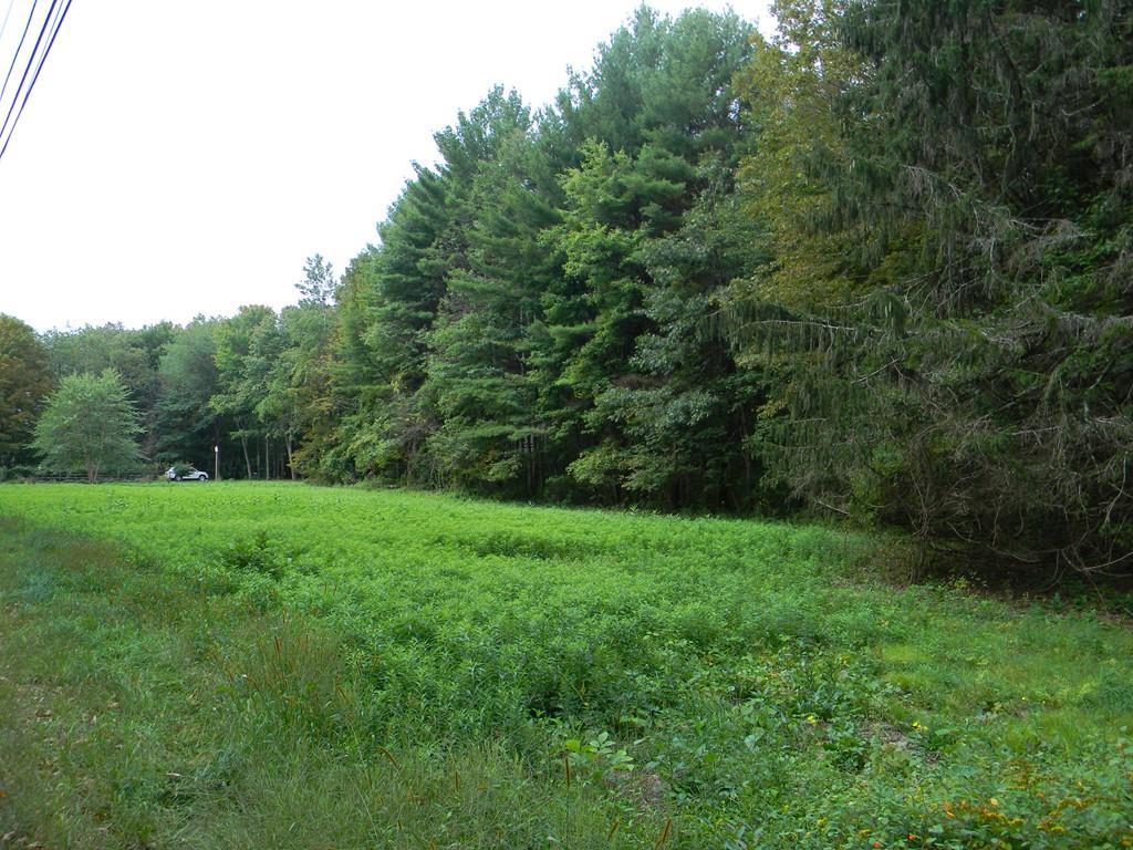 Lot A Sylvester Road - Photo 1
