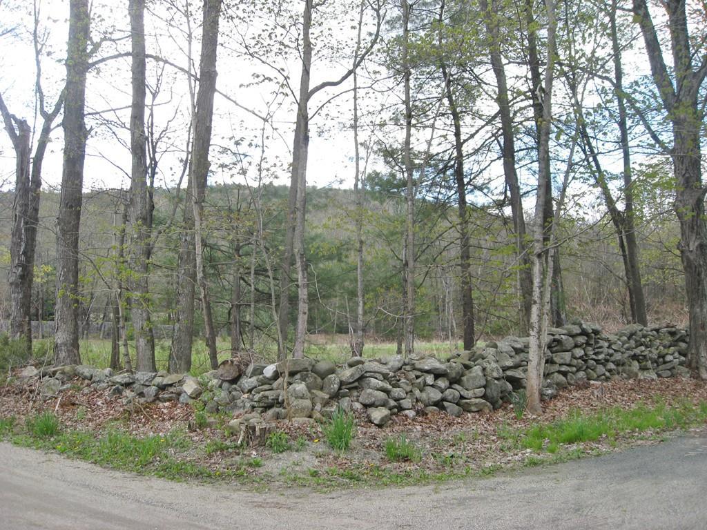 Lot 80 Rattle Snake Gutter Road - Photo 1