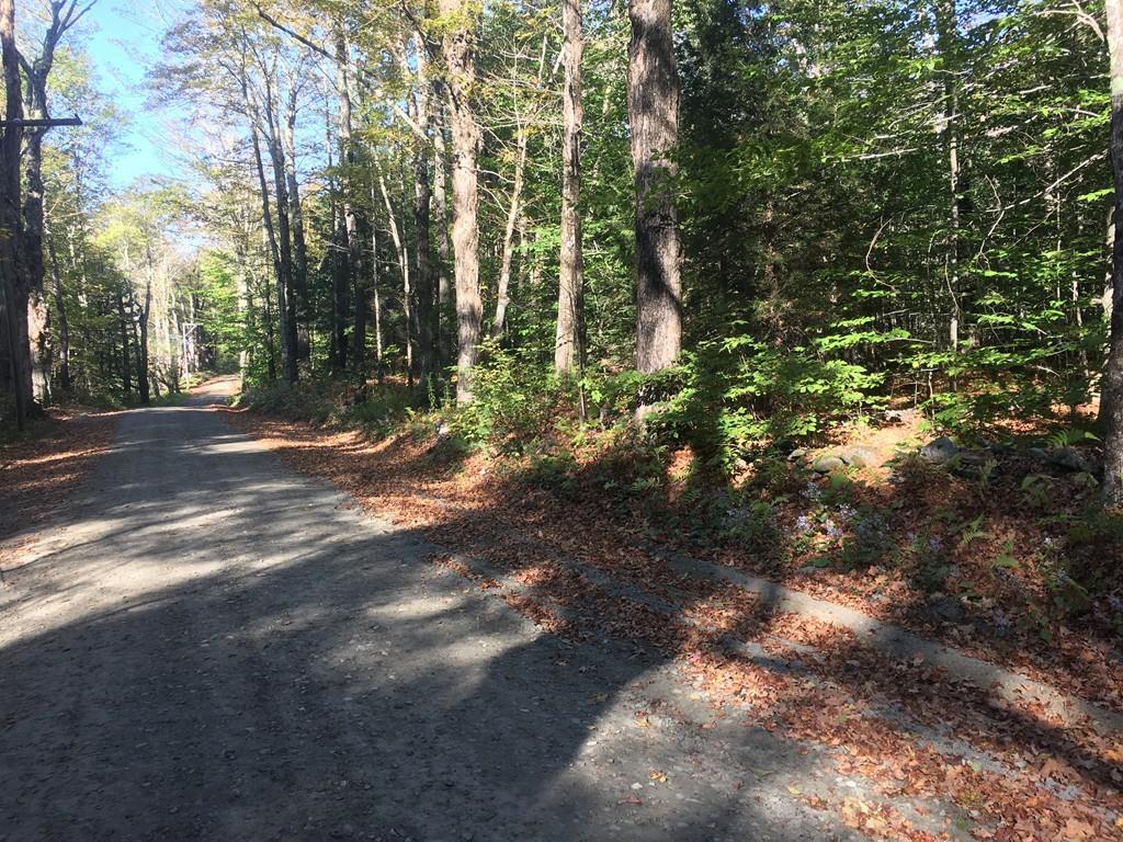 Lot 2 East St - Photo 1