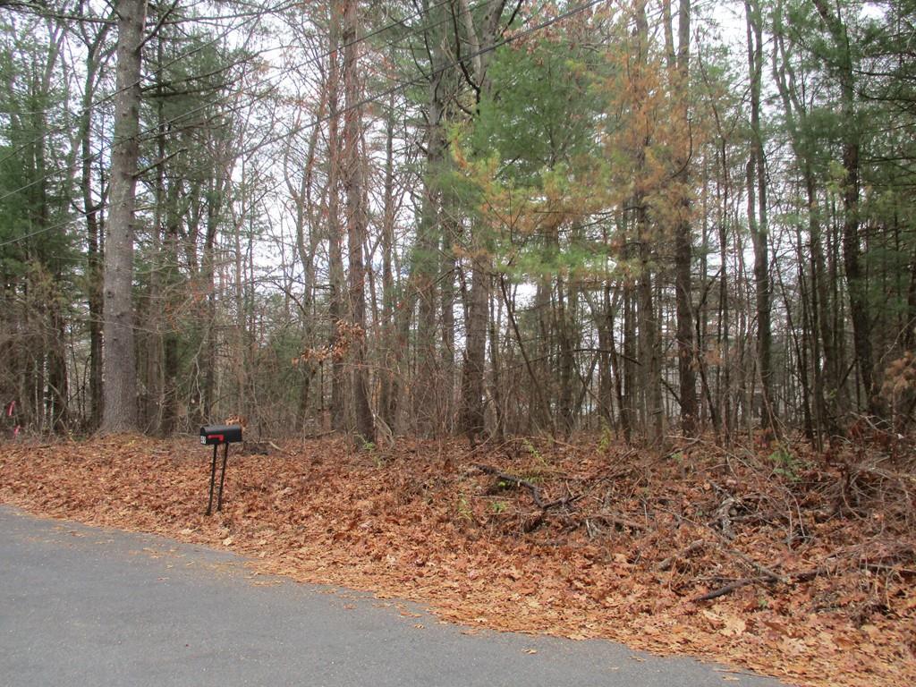 Lot A Horseshoe Cir - Photo 1