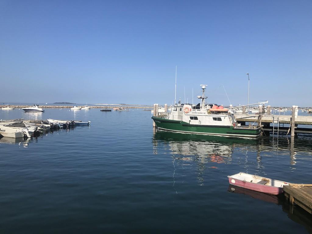16 Town Wharf - Photo 1