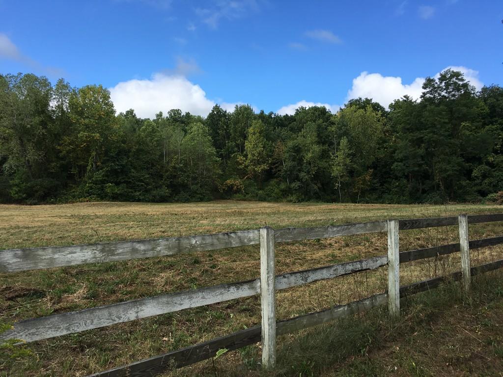81 Stillwater Rd. - Photo 1