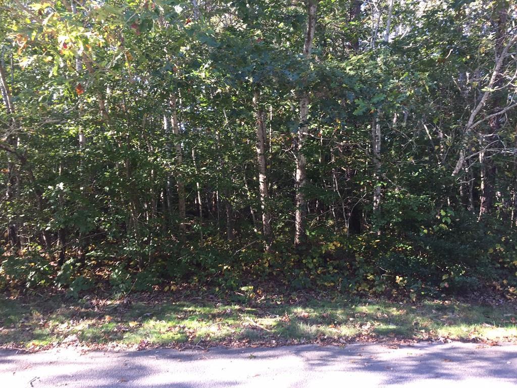 0 Rivers End Road - Photo 1