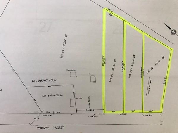Lot 1 County Street - Photo 1