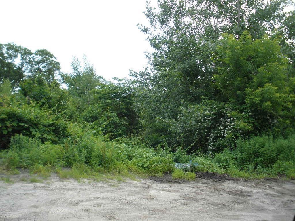 196 Svenson Avenue - Photo 1
