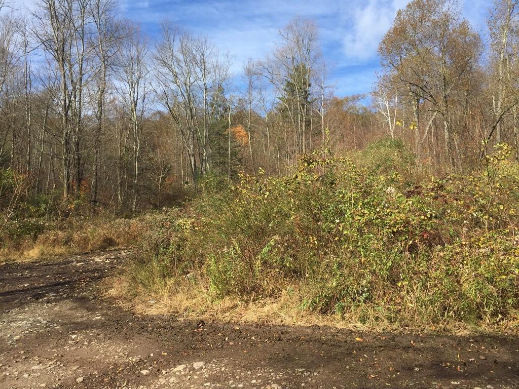 0 South Rd L: - Photo 1