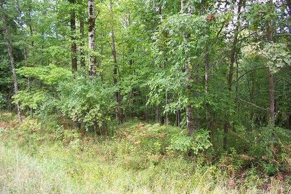 Lot 4A Billings Road - Photo 1