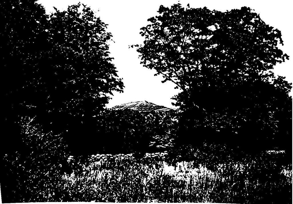 Lot 2 Old Colony Road - Photo 1