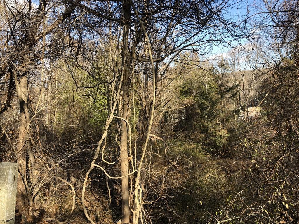 0 Hudson St. - Photo 1
