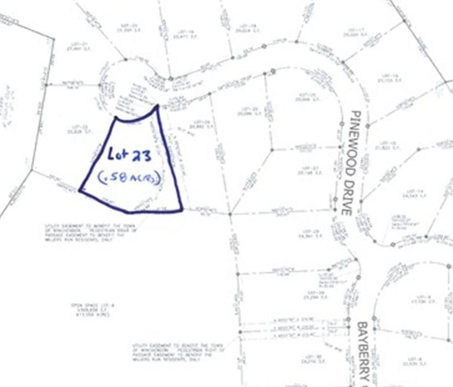 Lot 23 Pinewood Dr - Photo 1
