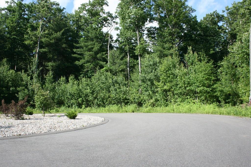 Lot 205 Jerad Drive - Photo 1