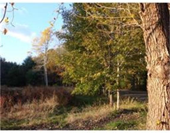 Lot 1137 East Grove Street - Photo 1