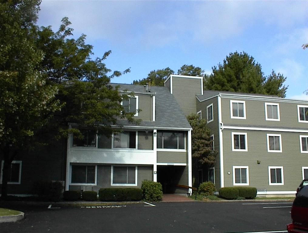 205 Willow Street - Photo 1