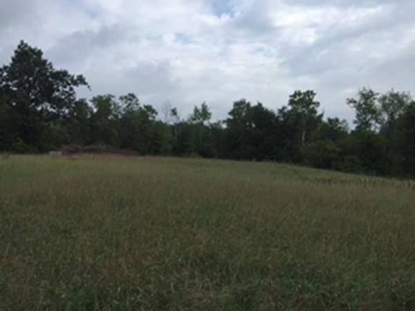 Lot 6 Shady Path - Photo 1