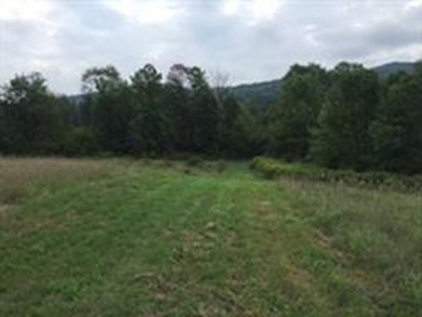 Lot 4,5,6 Shady Path Road - Photo 1