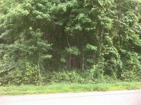 17 Handy Rd - Photo 1