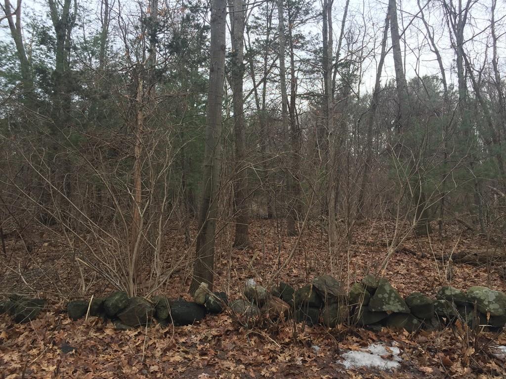195 Rowley Bridge Rd - Photo 1