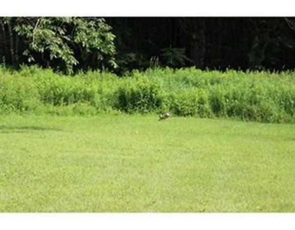 1642 Main Road - Photo 1