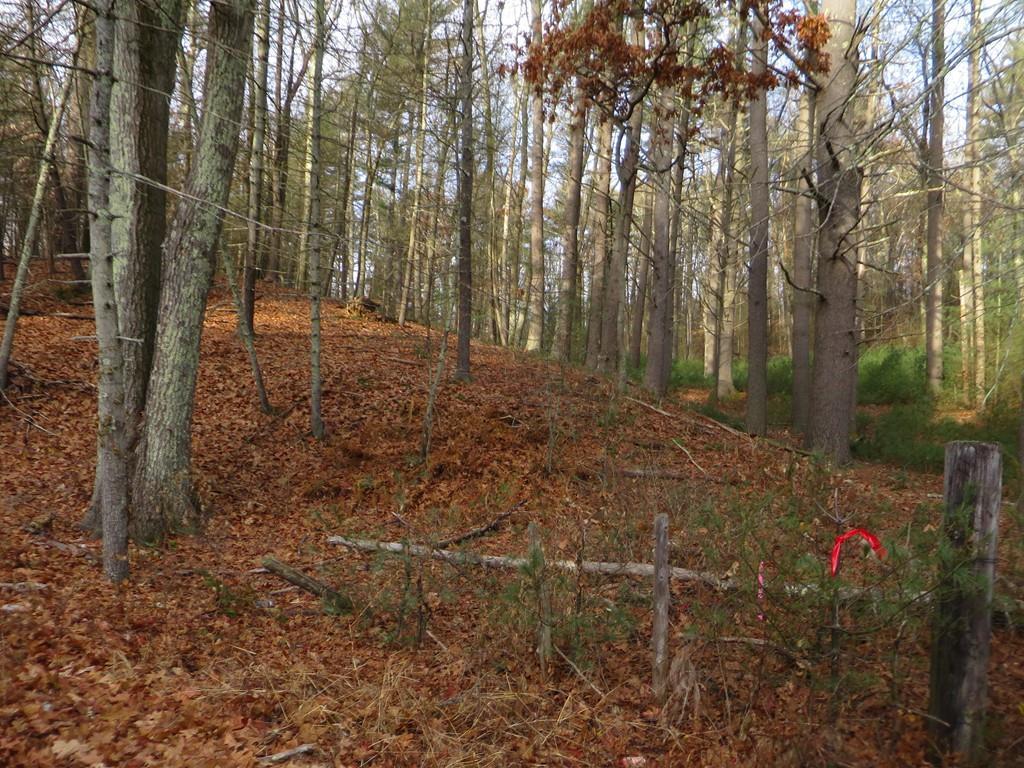 Lot 9 Bumstead Road - Photo 1