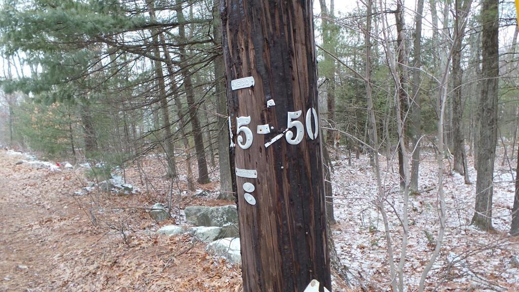 Lot 1A Wachusett St. - Photo 1