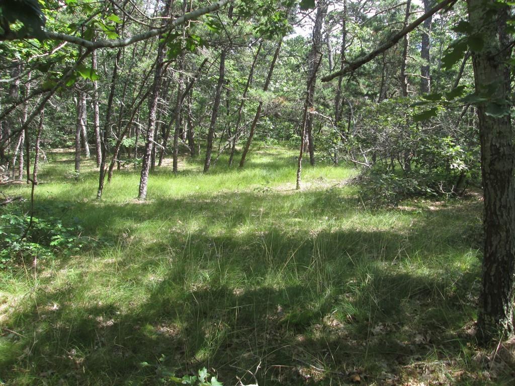 70 Rowell Rd - Photo 1