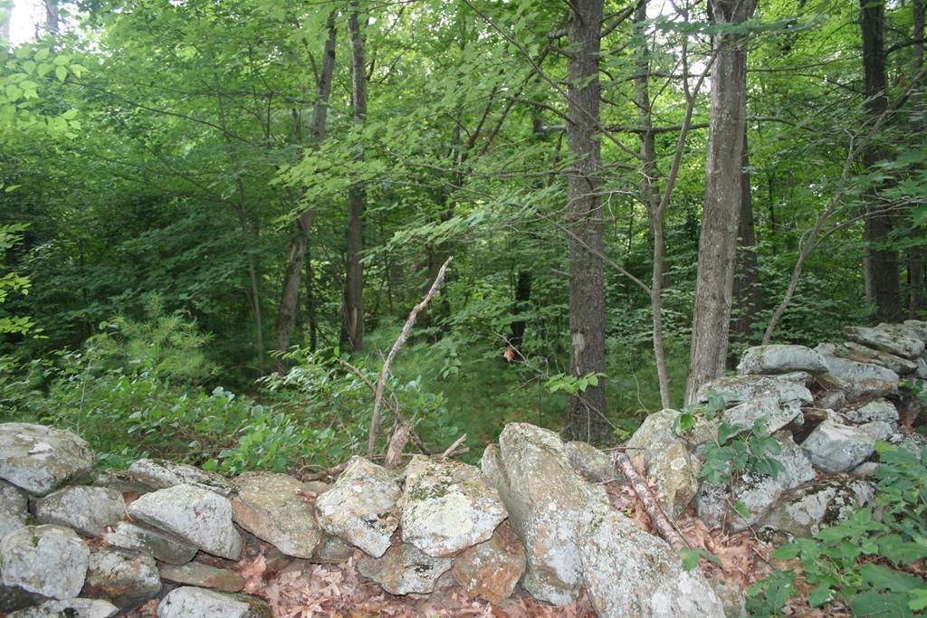 00 Davis Road - Photo 1