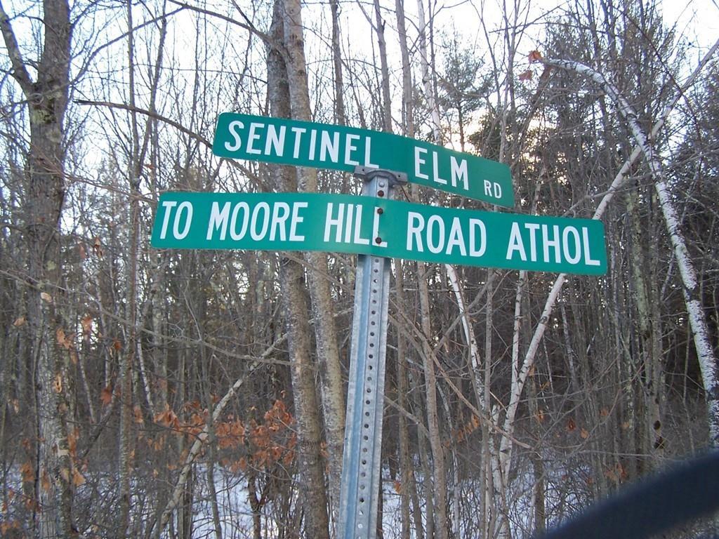 Lot 18B Sentinel Elm Rd. - Photo 1
