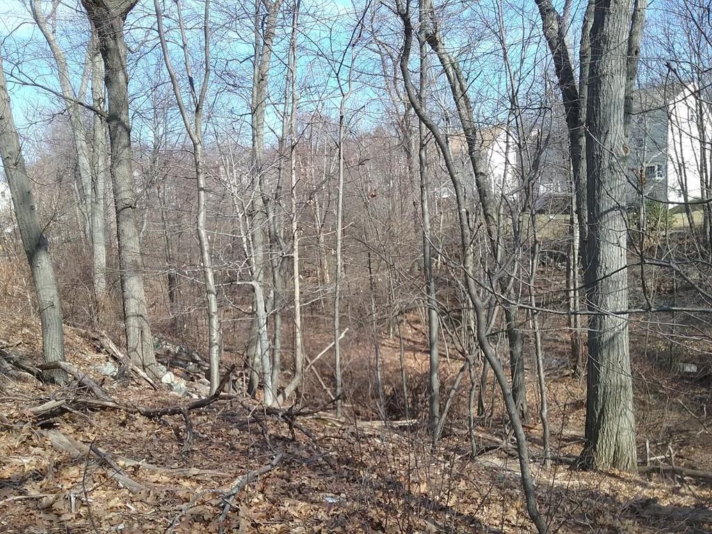 5 Mauriello Dr - Photo 1
