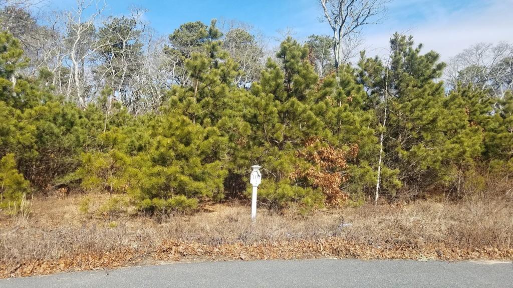 11 Harbor Light Rd - Photo 1