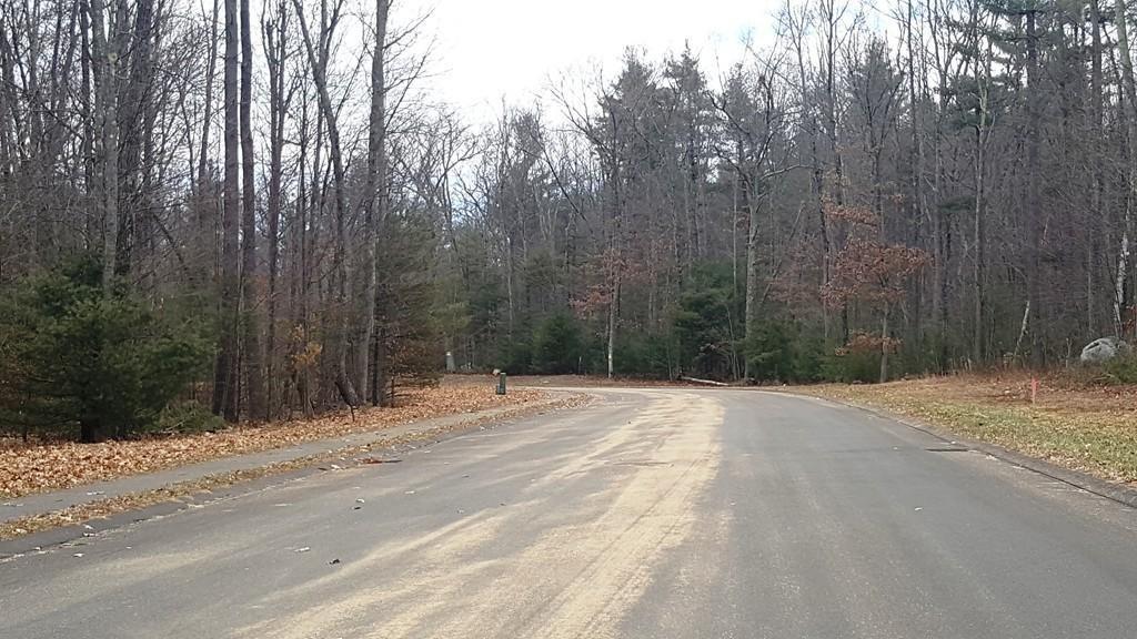 Lot 29 Coldbrook Dr - Photo 1