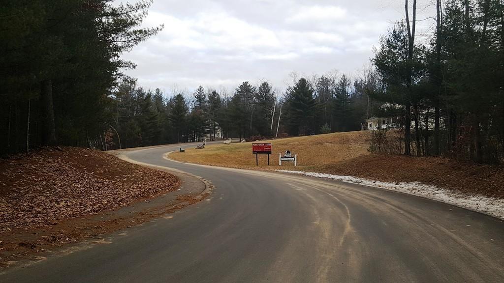Lot 30 Coldbrook Dr - Photo 1