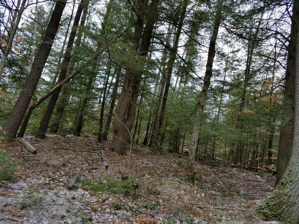 12 Hilltop - Photo 1