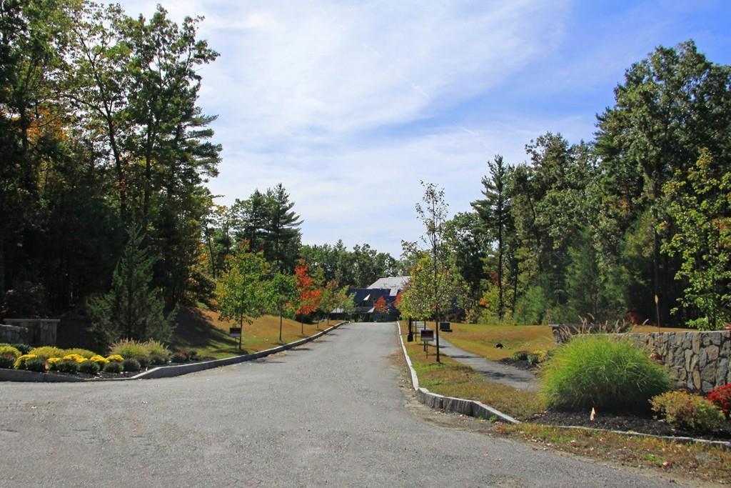 Lot 2 Monarch Path - Photo 1