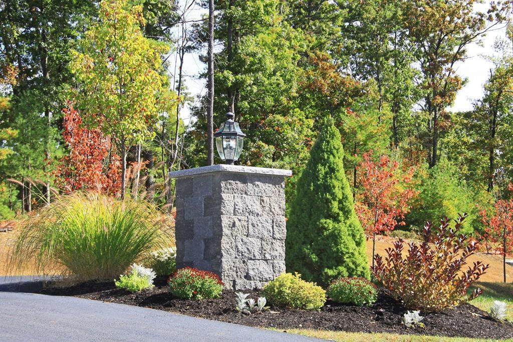 Lot 4 Monarch Path - Photo 1