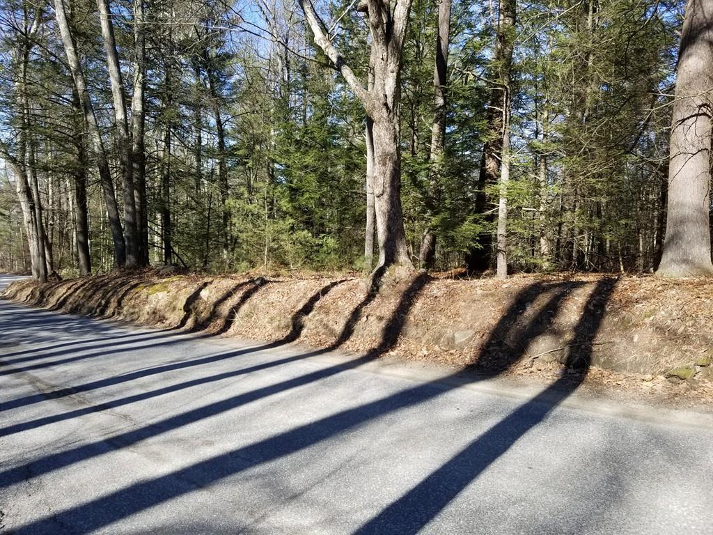 0 Town Farm Rd - Photo 1