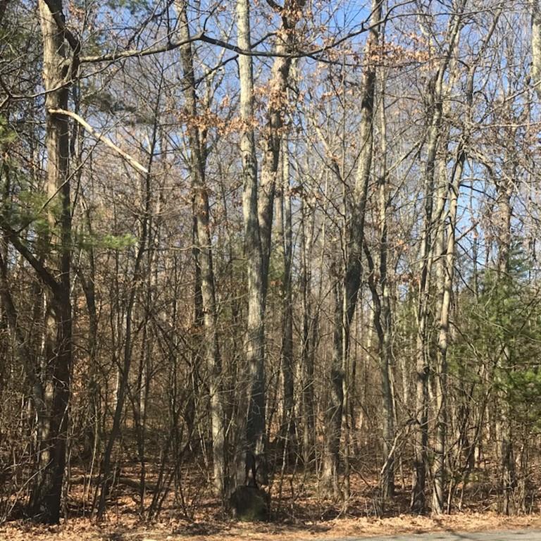0-17 Russellville Road - Photo 1