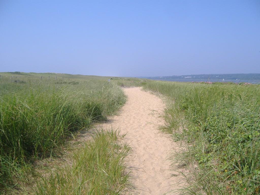 156 South Rd - Photo 1