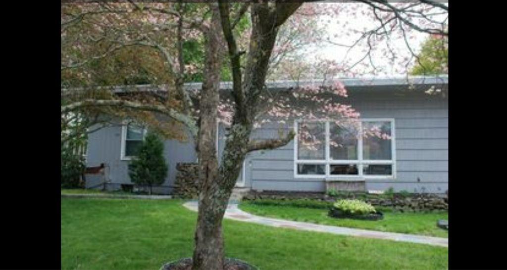 12 French Dr - Photo 1