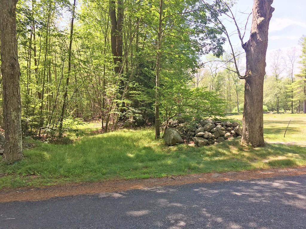 36 Old Hardwick Rd - Photo 1