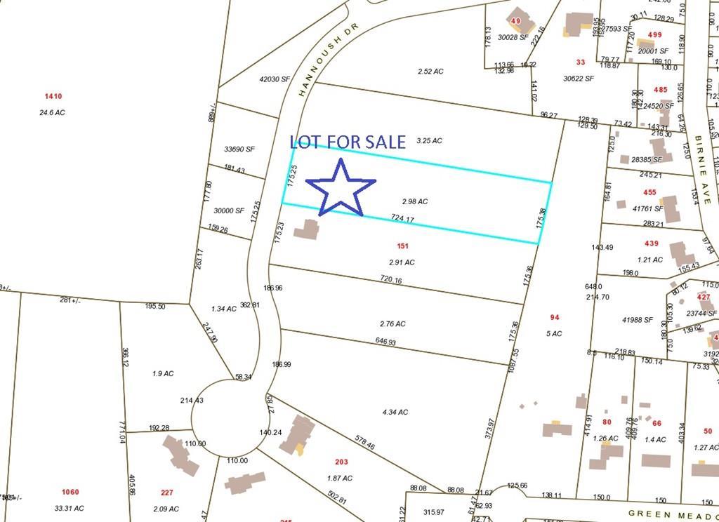 101 Hannoush Dr - Photo 1