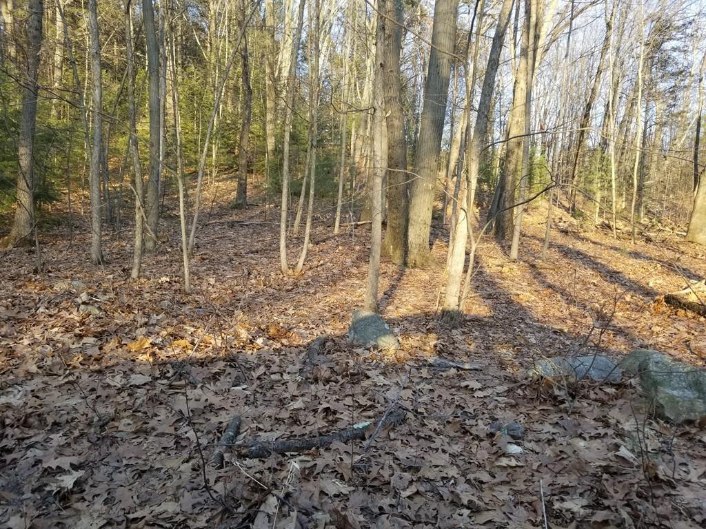 0 Flat Hills Rd - Photo 1