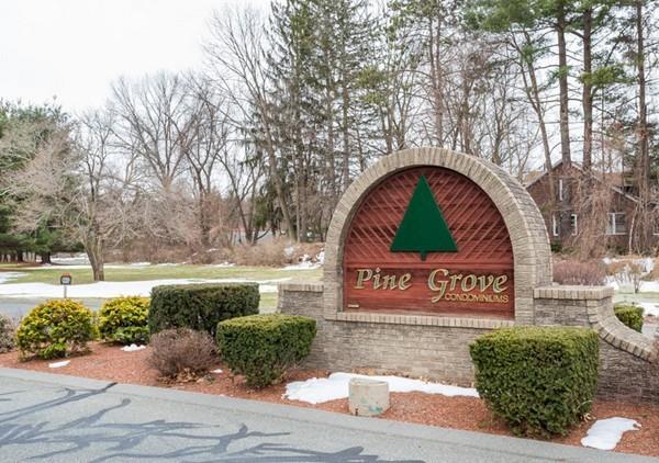 160 Pine Grove Drive - Photo 1