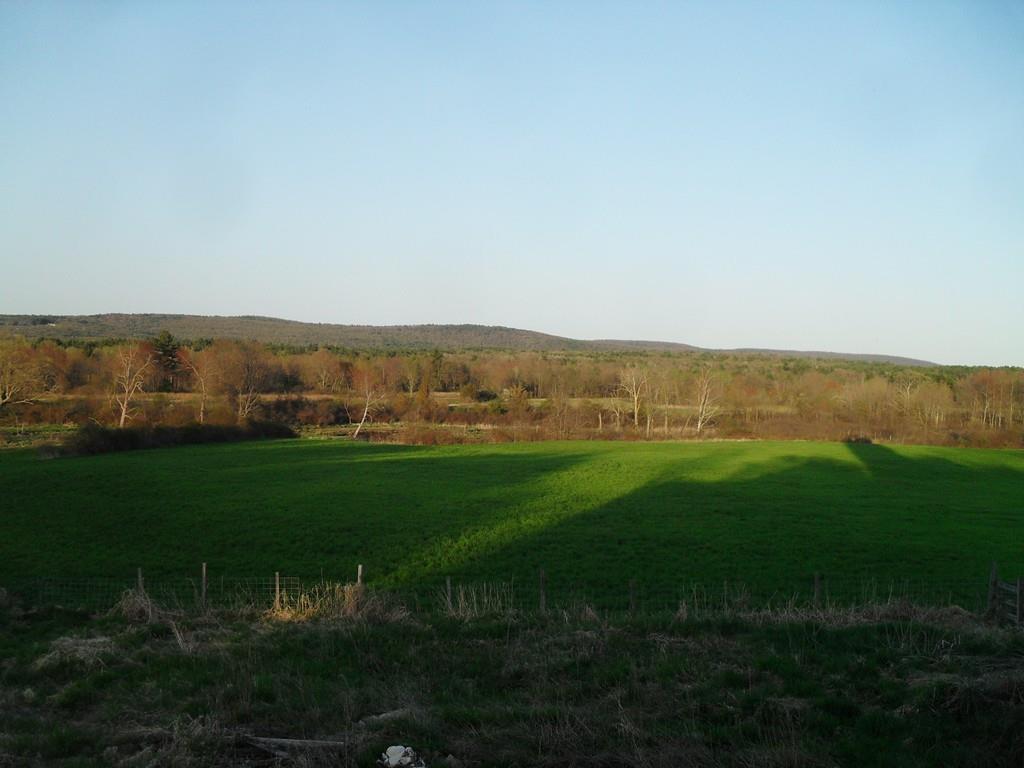 Lot 1B Southeast - Photo 1