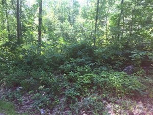 20 Old Pelham Road - Photo 1
