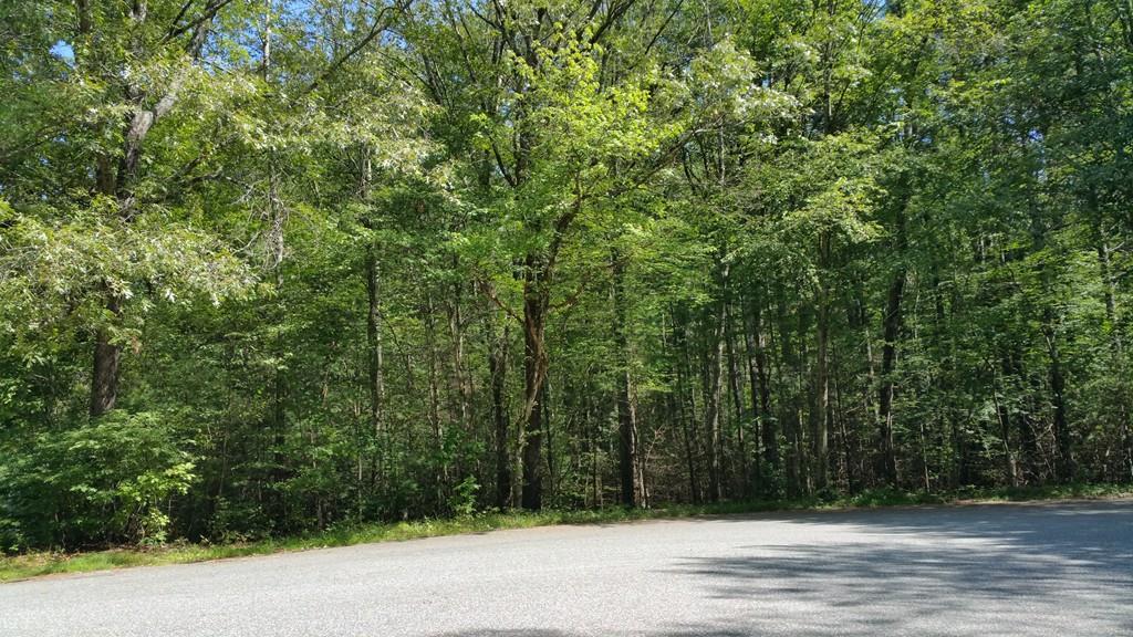 Lot C Hillside Dr - Photo 1
