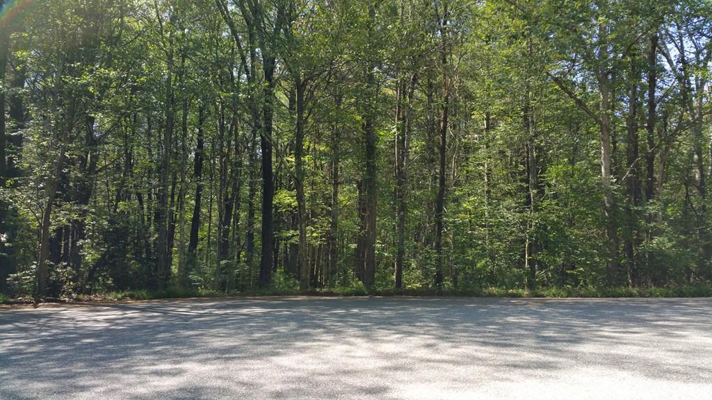 Lot E Hillside Dr - Photo 1