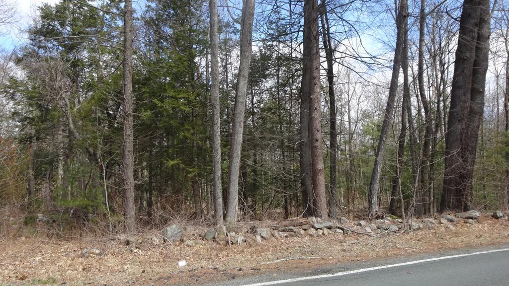 0 Russell Stage Rd - Photo 1