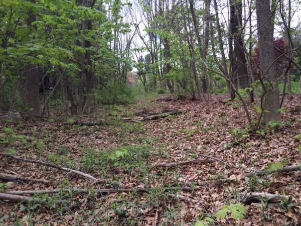 0 North St. - Photo 1