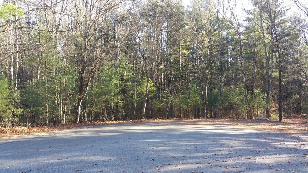 Lot D Hillside Dr - Photo 1