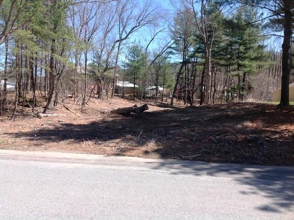 0 Sun Valley Rd. Lot 137 - Photo 1